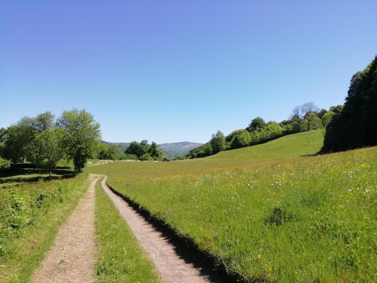 Maison A La Campagne Au Coeur Du Cantal Dept 15 Marmanhac Экстерьер фото
